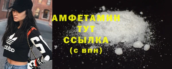 твердый Дмитровск