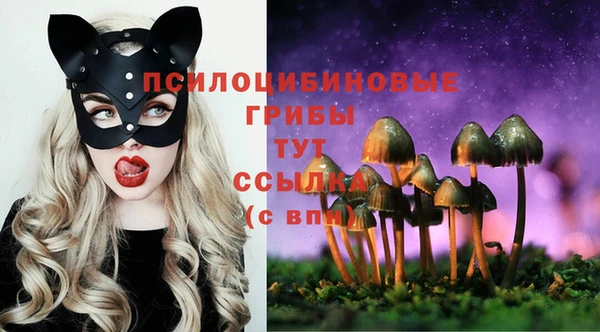 твердый Дмитровск