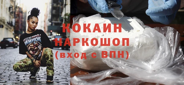 твердый Дмитровск